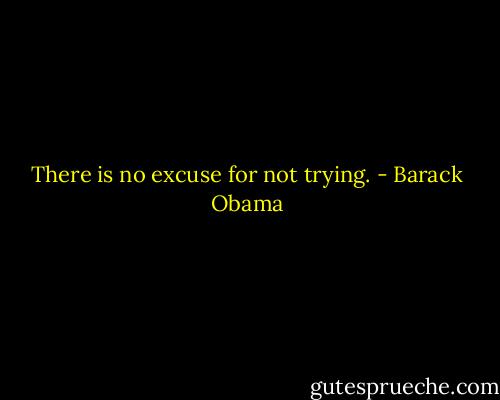 There is no excuse for not trying. - Barack Obama