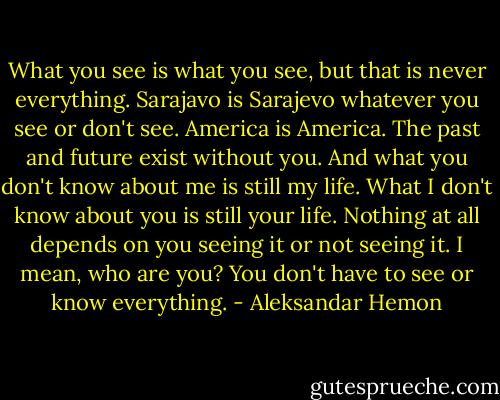 What you see is what you see, but that is never everything. Sarajavo is Sarajevo whatever you see or don't see. America is America. The past and future exist without you. And what you don't know about me is still my life. What I don't know about you is still your life. Nothing at all depends on you seeing it or not seeing it. I mean, who are you? You don't have to see or know everything. - Aleksandar Hemon
