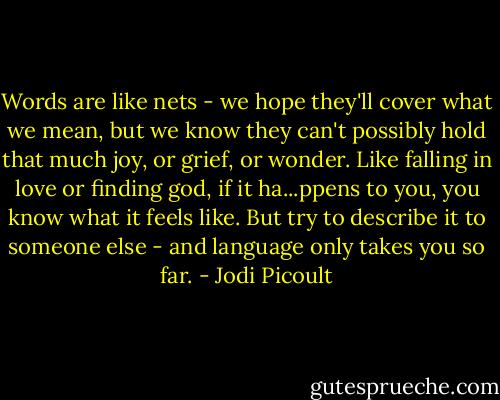 Words are like nets - we hope they'll cover what we mean, but we know they can't possibly hold that much joy, or grief, or wonder. Like falling in love or finding god, if it ha...ppens to you, you know what it feels like. But try to describe it to someone else - and language only takes you so far. - Jodi Picoult