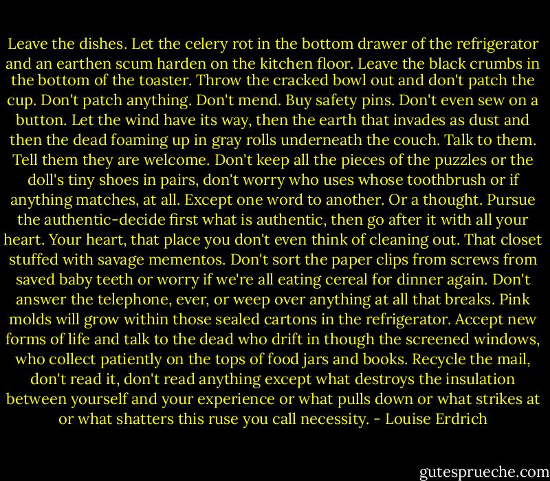 Leave the dishes.<br />Let the celery rot in the bottom drawer of the refrigerator<br />and an earthen scum harden on the kitchen floor.<br />Leave the black crumbs in the bottom of the toaster.<br />Throw the cracked bowl out and don't patch the cup.<br />Don't patch anything. Don't mend. Buy safety pins.<br />Don't even sew on a button.<br />Let the wind have its way, then the earth<br />that invades as dust and then the dead<br />foaming up in gray rolls underneath the couch.<br />Talk to them. Tell them they are welcome.<br />Don't keep all the pieces of the puzzles<br />or the doll's tiny shoes in pairs, don't worry<br />who uses whose toothbrush or if anything<br />matches, at all.<br />Except one word to another. Or a thought.<br />Pursue the authentic-decide first<br />what is authentic,<br />then go after it with all your heart.<br />Your heart, that place<br />you don't even think of cleaning out.<br />That closet stuffed with savage mementos.<br />Don't sort the paper clips from screws from saved baby teeth<br />or worry if we're all eating cereal for dinner<br />again. Don't answer the telephone, ever,<br />or weep over anything at all that breaks.<br />Pink molds will grow within those sealed cartons<br />in the refrigerator. Accept new forms of life<br />and talk to the dead<br />who drift in though the screened windows, who collect<br />patiently on the tops of food jars and books.<br />Recycle the mail, don't read it, don't read anything<br />except what destroys<br />the insulation between yourself and your experience<br />or what pulls down or what strikes at or what shatters<br />this ruse you call necessity. - Louise Erdrich