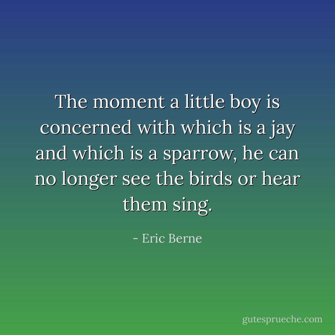 The moment a little boy is concerned with which is a jay and which is a sparrow, he can no longer see the birds or hear them sing. - Eric Berne