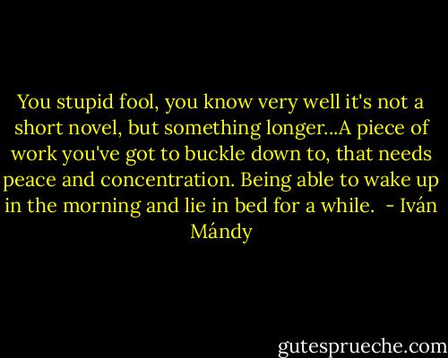 You stupid fool, you know very well it's not a short novel, but something longer...A piece of work you've got to buckle down to, that needs peace and concentration. Being able to wake up in the morning and lie in bed for a while.  - Iván Mándy