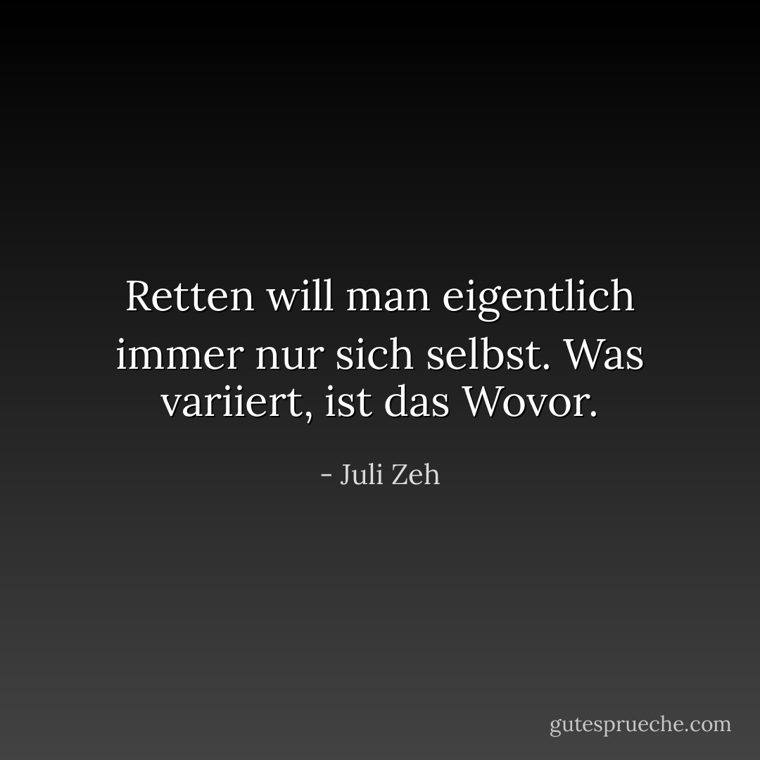 Retten will man eigentlich immer nur sich selbst. Was variiert, ist das Wovor. - Juli Zeh