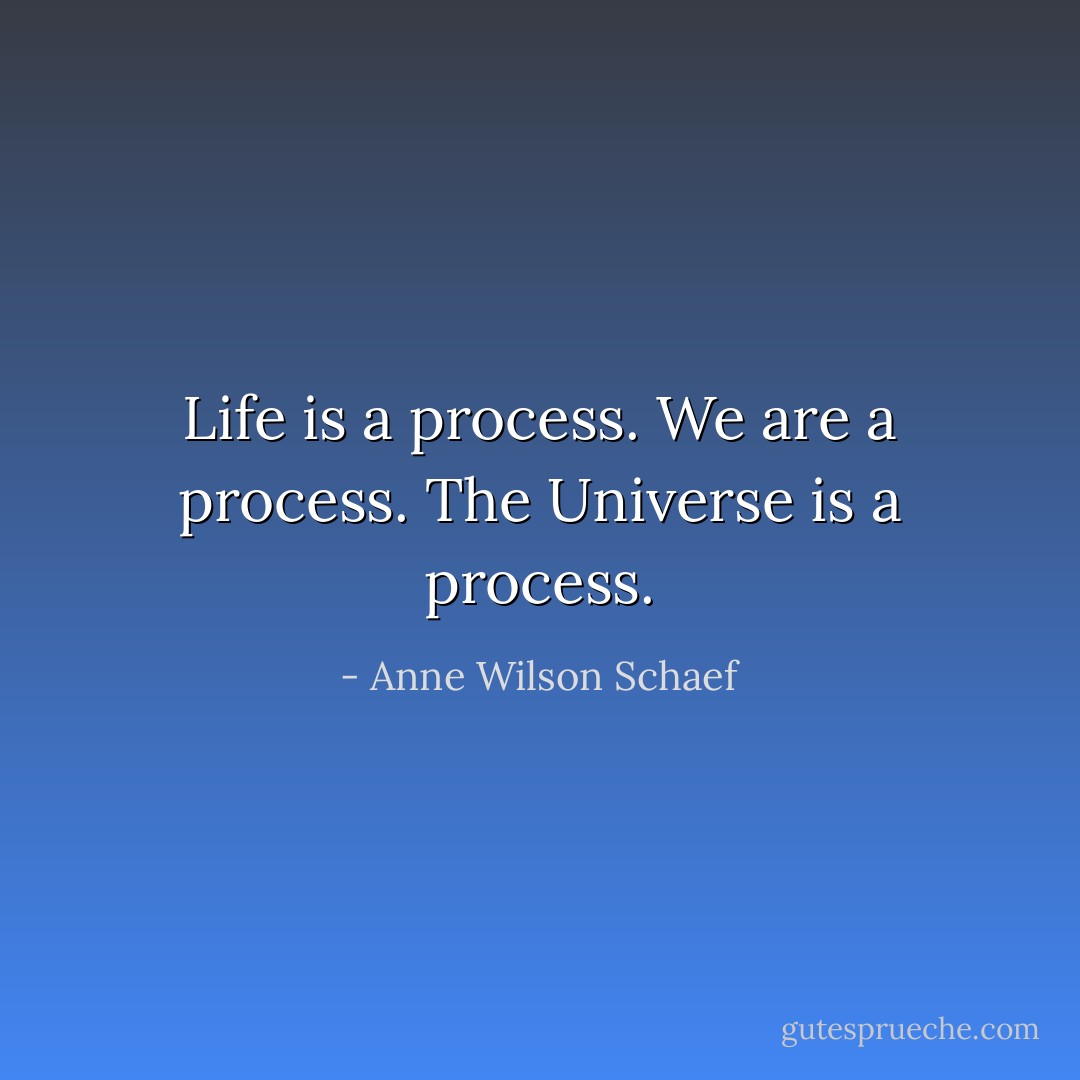 Life is a process. We are a process. The Universe is a process. - Anne Wilson Schaef