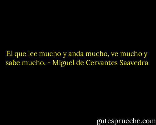 El que lee mucho y anda mucho, ve mucho y sabe mucho. - Miguel de Cervantes Saavedra