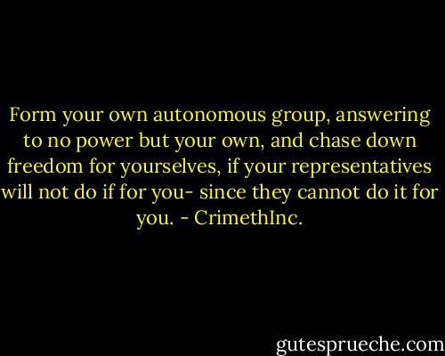 Form your own autonomous group, answering to no power but your own, and chase down freedom for yourselves, if your representatives will not do if for you- since they cannot do it for you. - CrimethInc.