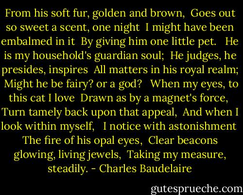 From his soft fur, golden and brown, <br />Goes out so sweet a scent, one night <br />I might have been embalmed in it <br />By giving him one little pet. <br /><br />He is my household's guardian soul; <br />He judges, he presides, inspires <br />All matters in his royal realm; <br />Might he be fairy? or a god? <br /><br />When my eyes, to this cat I love <br />Drawn as by a magnet's force, <br />Turn tamely back upon that appeal, <br />And when I look within myself, <br /><br />I notice with astonishment <br />The fire of his opal eyes, <br />Clear beacons glowing, living jewels, <br />Taking my measure, steadily. - Charles Baudelaire