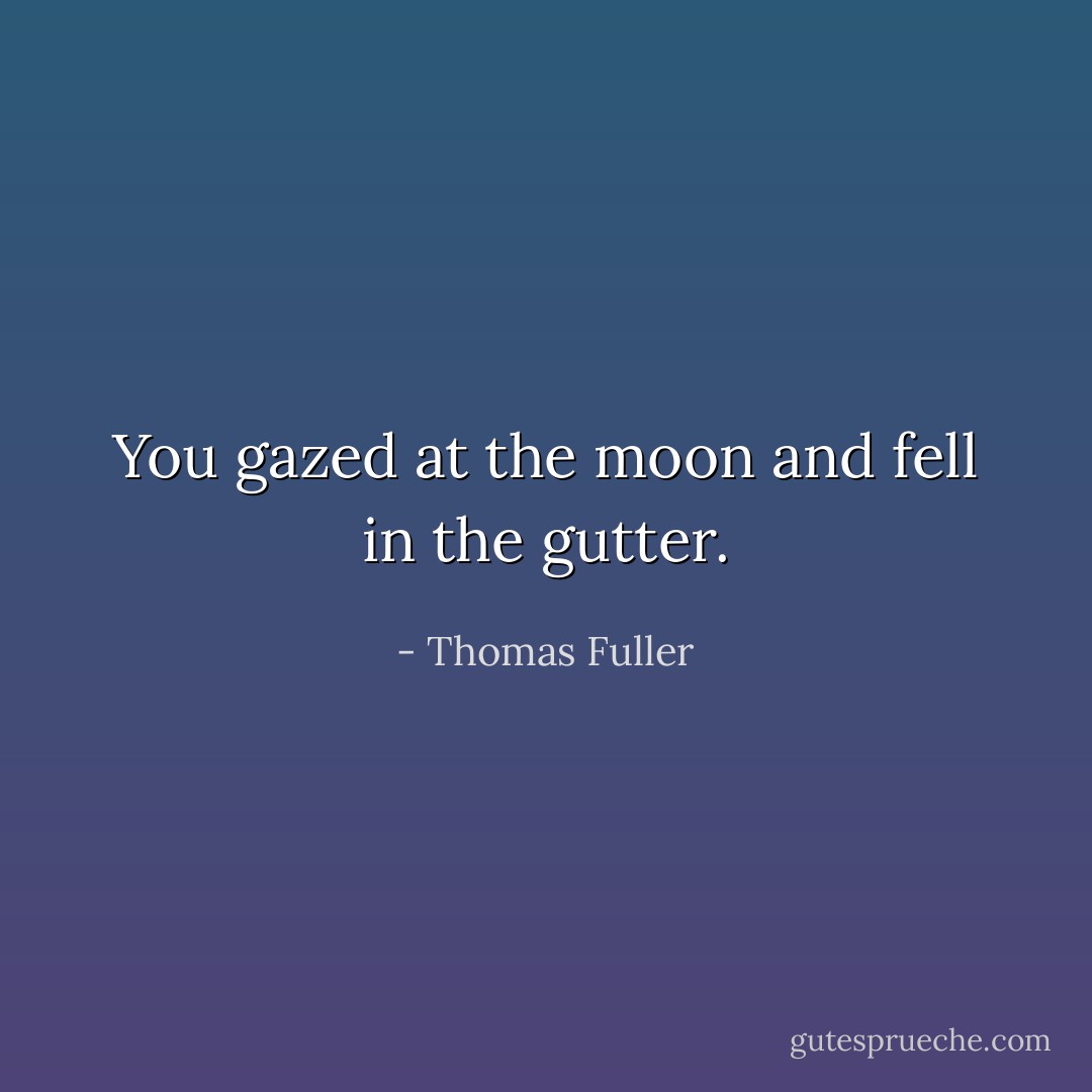 You gazed at the moon and fell in the gutter. - Thomas Fuller