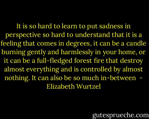 It is so hard to learn to put sadness in perspective so hard to understand that it is a feeling that comes in degrees, it can be a candle burning gently and harmlessly in your home, or it can be a full-fledged forest fire that destroy almost everything and is controlled by almost nothing. It can also be so much in-between  - Elizabeth Wurtzel