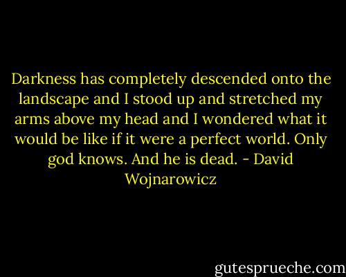 Darkness has completely descended onto the landscape and I stood up and stretched my arms above my head and I wondered what it would be like if it were a perfect world. Only god knows. And he is dead. - David Wojnarowicz