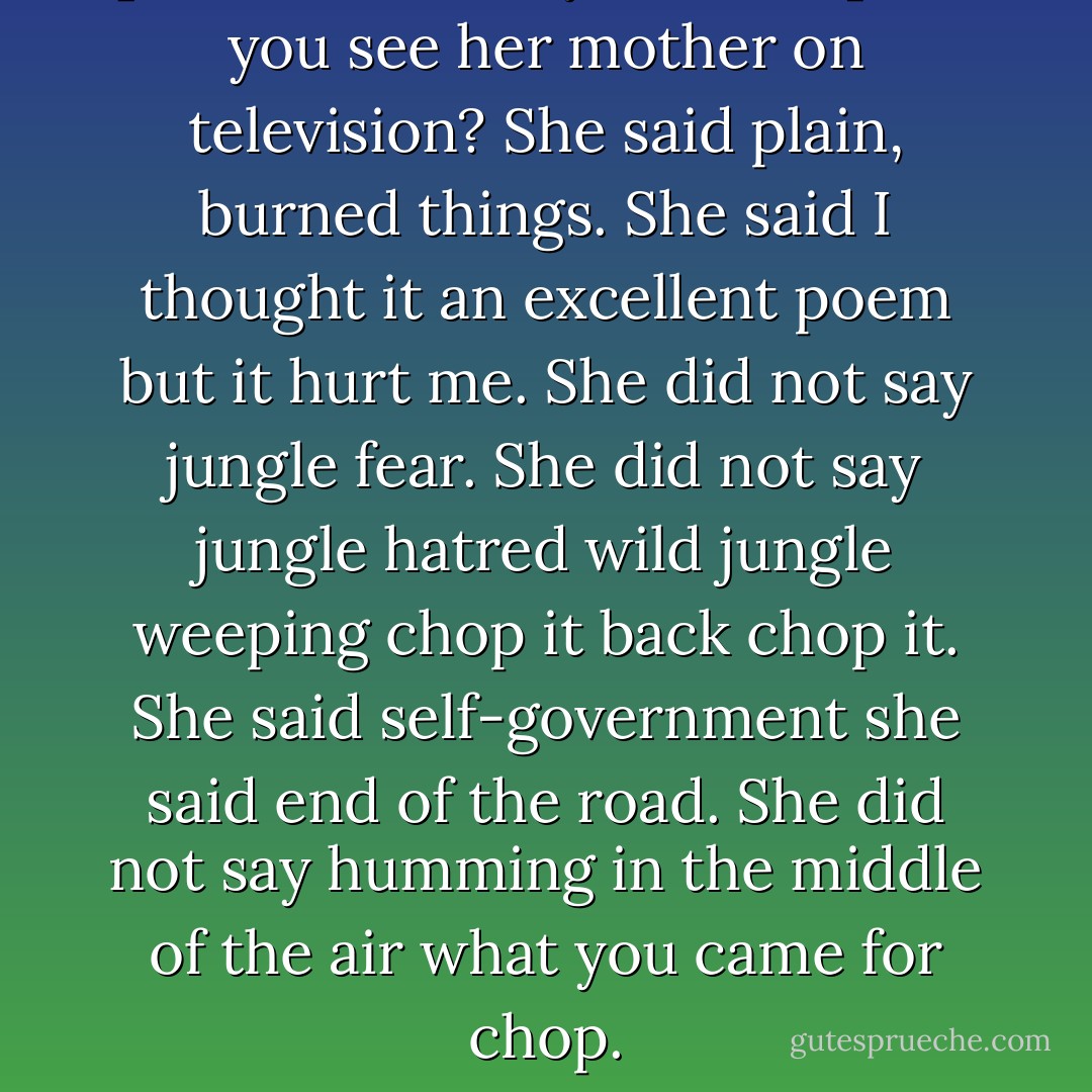 [Short Talk on Sylvia Plath] Did you see her mother on television? She said plain, burned things. She said I thought it an excellent poem but it hurt me. She did not say jungle fear. She did not say jungle hatred wild jungle weeping chop it back chop it. She said self-government she said end of the road. She did not say humming in the middle of the air what you came for chop. - Anne Carson