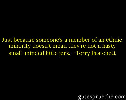 Just because someone's a member of an ethnic minority doesn't mean they're not a nasty small-minded little jerk. - Terry Pratchett