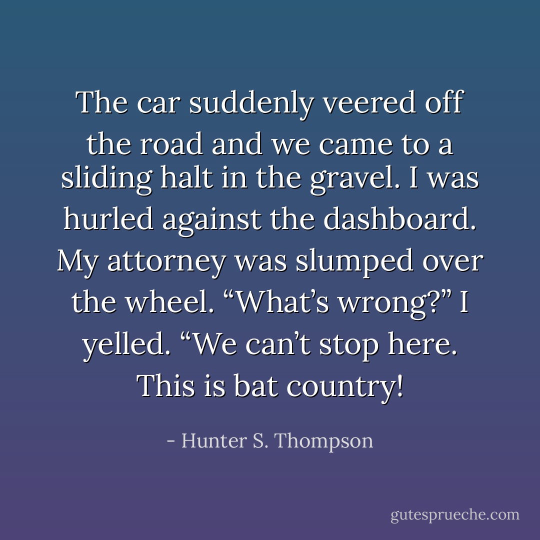 The car suddenly veered off the road and we came to a sliding halt in the gravel. I was hurled against the dashboard. My attorney was slumped over the wheel. “What’s wrong?” I yelled. “We can’t stop here. This is bat country! - Hunter S. Thompson