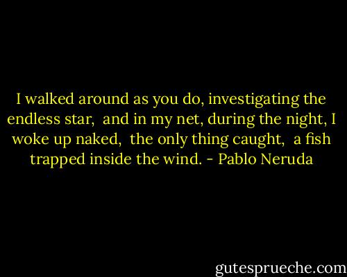I walked around as you do, investigating<br />the endless star, <br />and in my net, during the night,<br />I woke up naked, <br />the only thing caught, <br />a fish trapped inside the wind. - Pablo Neruda