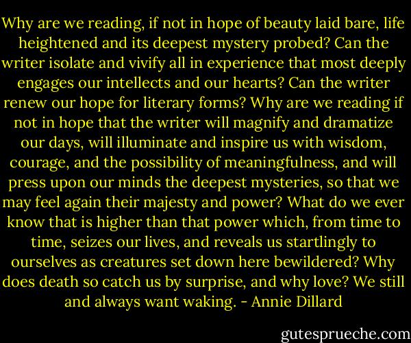 Why are we reading, if not in hope of beauty laid bare, life heightened and its deepest mystery probed? Can the writer isolate and vivify all in experience that most deeply engages our intellects and our hearts? Can the writer renew our hope for literary forms? Why are we reading if not in hope that the writer will magnify and dramatize our days, will illuminate and inspire us with wisdom, courage, and the possibility of meaningfulness, and will press upon our minds the deepest mysteries, so that we may feel again their majesty and power? What do we ever know that is higher than that power which, from time to time, seizes our lives, and reveals us startlingly to ourselves as creatures set down here bewildered? Why does death so catch us by surprise, and why love? We still and always want waking. - Annie Dillard