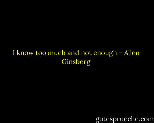 I know too much and not enough - Allen Ginsberg