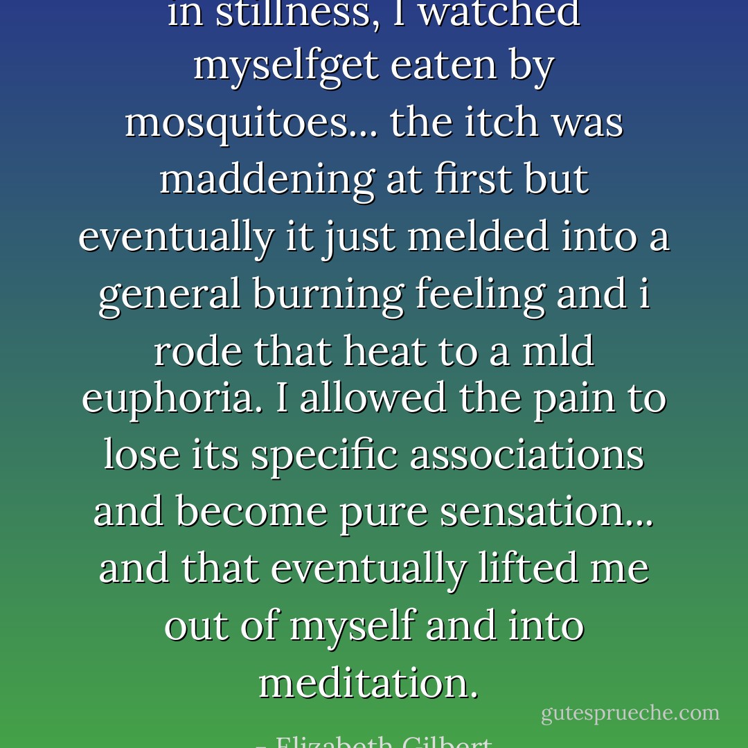 in stillness, I watched myselfget eaten by mosquitoes... the itch was maddening at first but eventually it just melded into a general burning feeling and i rode that heat to a mld euphoria. I allowed the pain to lose its specific associations and become pure sensation... and that eventually lifted me out of myself and into meditation.  - Elizabeth Gilbert
