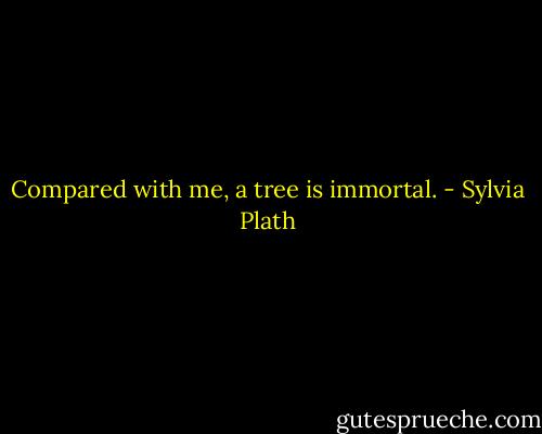 Compared with me, a tree is immortal. - Sylvia Plath