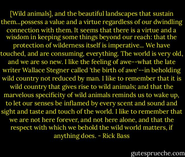 [Wild animals], and the beautiful landscapes that sustain them...possess a value and a virtue regardless of our dwindling connection with them. It seems that there is a virtue and a wisdom in keeping some things beyond our reach: that the protection of wilderness itself is imperative... We have touched, and are consuming, everything. The world is very old, and we are so new. I like the feeling of awe--what the late writer Wallace Stegner called 'the birth of awe'--in beholding wild country not reduced by man. I like to remember that it is wild country that gives rise to wild animals; and that the marvelous specificity of wild animals reminds us to wake up, to let our senses be inflamed by every scent and sound and sight and taste and touch of the world. I like to remember that we are not here forever, and not here alone, and that the respect with which we behold the wild world matters, if anything does. - Rick Bass