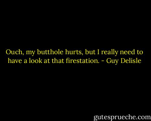 Ouch, my butthole hurts, but I really need to have a look at that firestation. - Guy Delisle