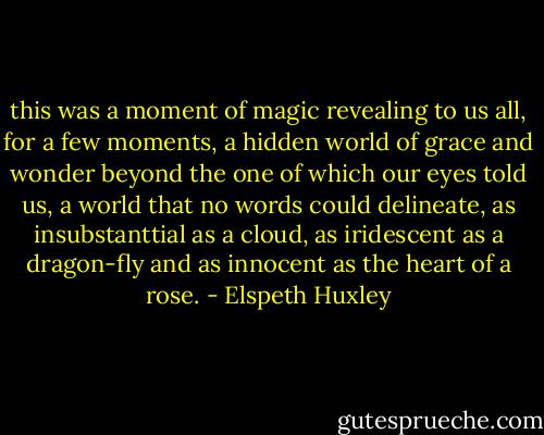 this was a moment of magic revealing to us all, for a few moments, a hidden world of grace and wonder beyond the one of which our eyes told us, a world that no words could delineate, as insubstanttial as a cloud, as iridescent as a dragon-fly and as innocent as the heart of a rose. - Elspeth Huxley
