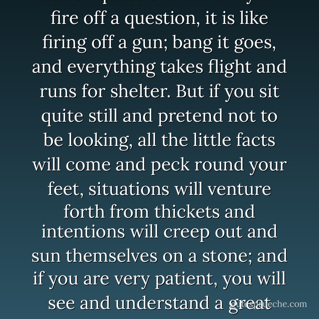 The best way to find out things, if you come to think of it, is not to ask questions at all. If you fire off a question, it is like firing off a gun; bang it goes, and everything takes flight and runs for shelter. But if you sit quite still and pretend not to be looking, all the little facts will come and peck round your feet, situations will venture forth from thickets and intentions will creep out and sun themselves on a stone; and if you are very patient, you will see and understand a great deal more than a man with a gun. - Elspeth Huxley