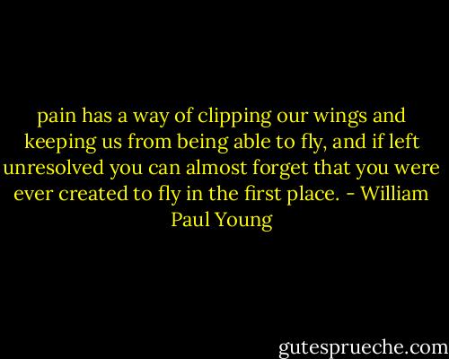 pain has a way of clipping our wings and keeping us from being able to fly, and if left unresolved you can almost forget that you were ever created to fly in the first place. - William Paul Young