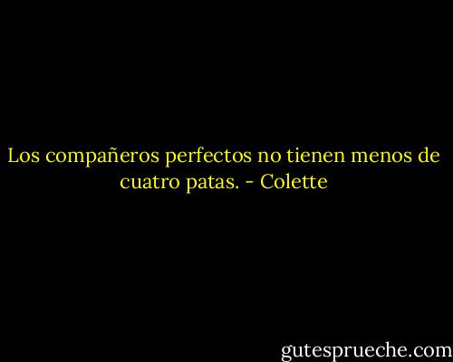 Los compañeros perfectos no tienen menos de cuatro patas. - Colette
