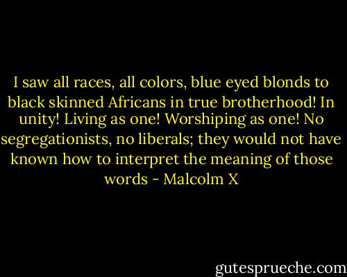 I saw all races, all colors, blue eyed blonds to black skinned Africans in true brotherhood! In unity! Living as one! Worshiping as one! No segregationists, no liberals; they would not have known how to interpret the meaning of those words - Malcolm X