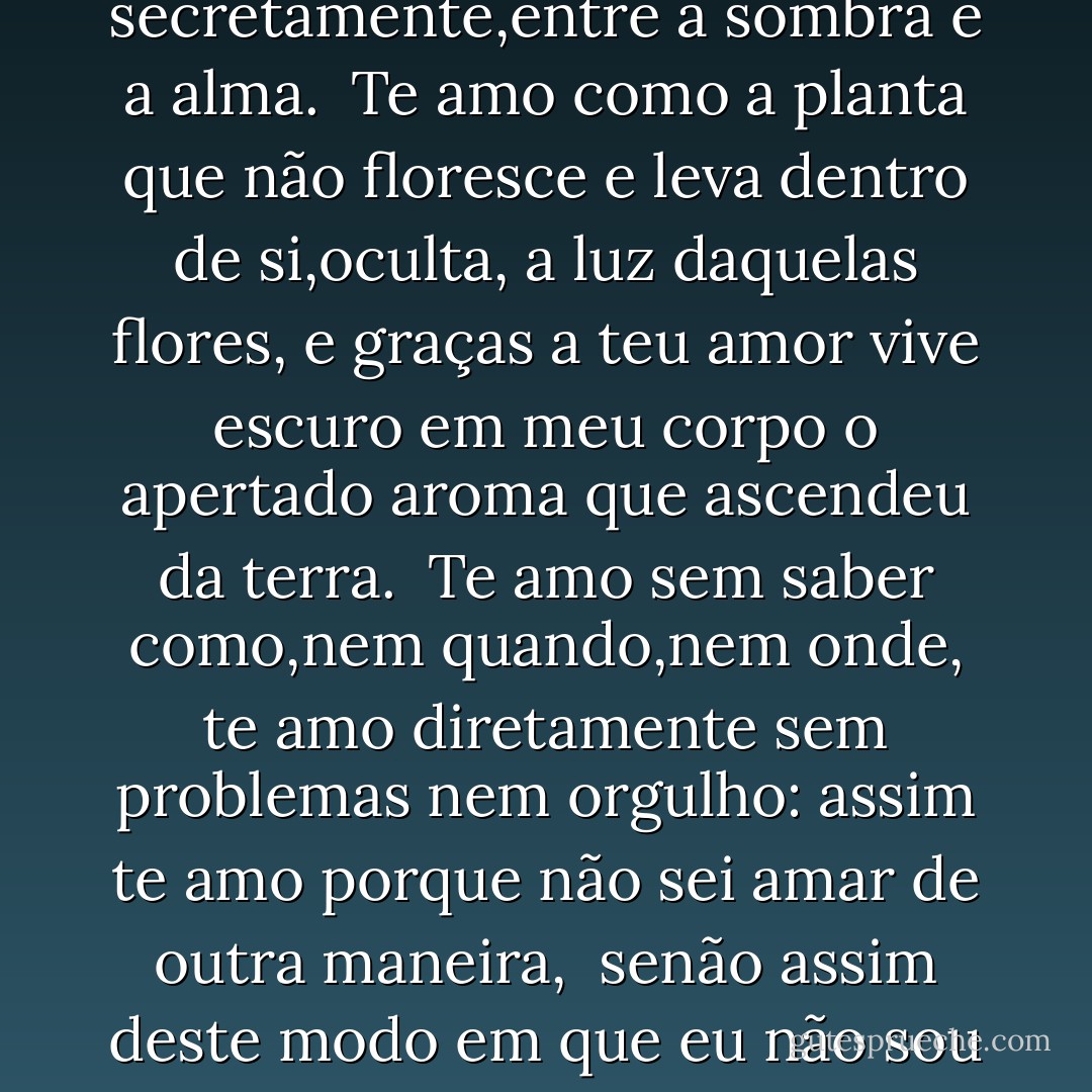 Não te amo como se fosse rosa de sal,topázio<br />ou flecha de cravos que<br />propagam o fogo:<br />te amo como se amam certas coisas obscuras,<br />secretamente,entre a sombra e a alma.<br /><br />Te amo como a planta que não<br />floresce e leva<br />dentro de si,oculta, a luz daquelas flores,<br />e graças a<br />teu amor vive escuro em meu corpo<br />o apertado aroma que ascendeu da terra.<br /><br />Te amo sem saber como,nem quando,nem onde,<br />te amo diretamente sem<br />problemas nem orgulho:<br />assim te amo porque não sei amar de outra maneira,<br /><br />senão assim deste modo em que eu não sou nem és<br />tão perto que tua<br />mão sobre meu peito é minha<br />tão perto que se fecham meus olhos com meu<br />sonho. - Pablo Neruda