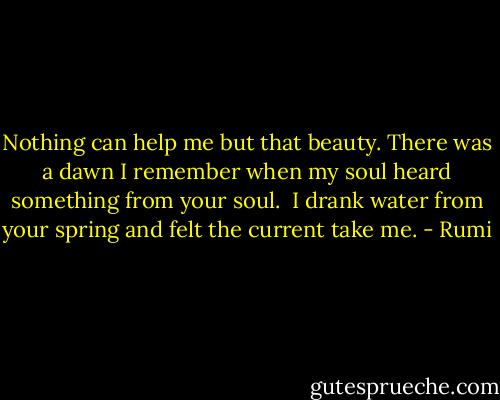 Nothing can help me but that beauty.<br />There was a dawn I remember<br />when my soul heard something from your soul.<br /><br />I drank water from your spring<br />and felt the current take me. - Rumi