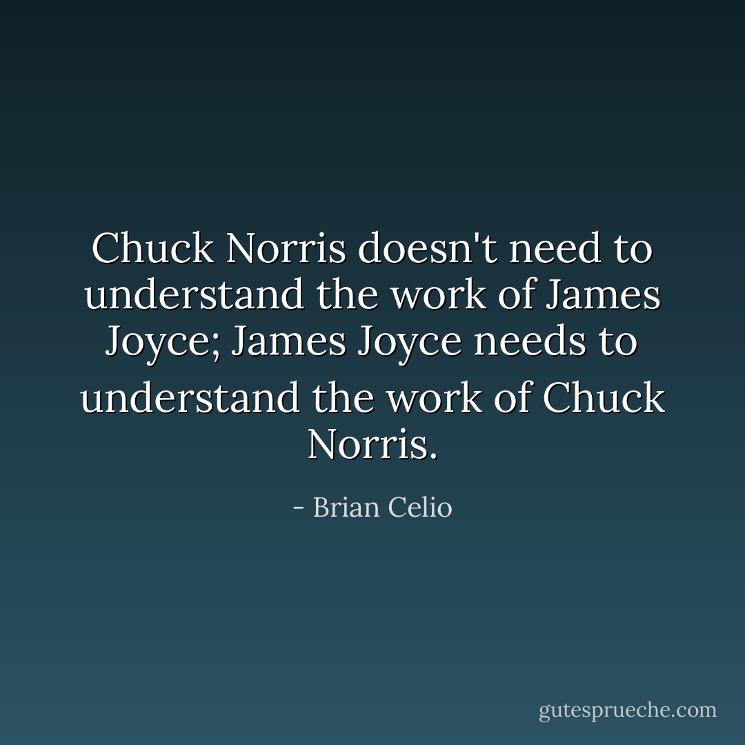 Chuck Norris doesn't need to understand the work of James Joyce; James Joyce needs to understand the work of Chuck Norris. - Brian Celio