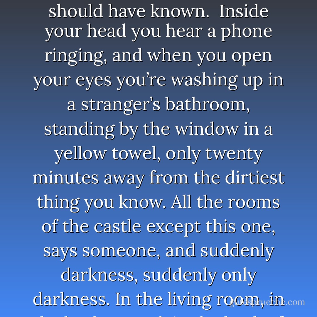 Every morning the maple leaves.<br />Every morning another chapter where the hero shifts<br />from one foot to the other. Every morning the same big<br />and little words all spelling out desire, all spelling out<br />You will be alone always and then you will die.<br />So maybe I wanted to give you something more than a catalog<br />of non-definitive acts,<br />something other than the desperation.<br />Dear So-and-So, I’m sorry I couldn’t come to your party.<br />Dear So-and-So, I’m sorry I came to your party<br />and seduced you<br />and left you bruised and ruined, you poor sad thing.<br />You want a better story. Who wouldn’t?<br /><br />A forest, then. Beautiful trees. And a lady singing.<br />Love on the water, love underwater, love, love and so on.<br />What a sweet lady. Sing lady, sing! Of course, she wakes the dragon.<br />Love always wakes the dragon and suddenly<br />flames everywhere.<br />I can tell already you think I’m the dragon,<br />that would be so like me, but I’m not. I’m not the dragon.<br />I’m not the princess either.<br />Who am I? I’m just a writer. I write things down.<br />I walk through your dreams and invent the future. Sure,<br />I sink the boat of love, but that comes later. And yes, I swallow<br />glass, but that comes later.<br /><br />Let me do it right for once,<br />for the record, let me make a thing of cream and stars that becomes,<br />you know the story, simply heaven.<br />Inside your head you hear a phone ringing<br />and when you open your eyes<br />only a clearing with deer in it. Hello deer.<br />Inside your head the sound of glass,<br />a car crash sound as the trucks roll over and explode in slow motion.<br />Hello darling, sorry about that.<br />Sorry about the bony elbows, sorry we<br />lived here, sorry about the scene at the bottom of the stairwell<br />and how I ruined everything by saying it out loud.<br />Especially that, but I should have known.<br /><br />Inside your head you hear<br />a phone ringing, and when you open your eyes you’re washing up<br />in a stranger’s bathroom,<br />standing by the window in a yellow towel, only twenty minutes away<br />from the dirtiest thing you know.<br />All the rooms of the castle except this one, says someone, and suddenly<br />darkness,<br />suddenly only darkness.<br />In the living room, in the broken yard,<br />in the back of the car as the lights go by. In the airport<br />bathroom’s gurgle and flush, bathed in a pharmacy of<br />unnatural light,<br />my hands looking weird, my face weird, my feet too far away.<br />I arrived in the city and you met me at the station,<br />smiling in a way<br />that made me frightened. Down the alley, around the arcade,<br />up the stairs of the building<br />to the little room with the broken faucets, your drawings, all your things,<br />I looked out the window and said<br />This doesn’t look that much different from home,<br />because it didn’t,<br />but then I noticed the black sky and all those lights.<br /><br />We were inside the train car when I started to cry. You were crying too,<br />smiling and crying in a way that made me<br />even more hysterical. You said I could have anything I wanted, but I<br />just couldn’t say it out loud.<br />Actually, you said Love, for you,<br />is larger than the usual romantic love. It’s like a religion. It’s<br />terrifying. No one<br />will ever want to sleep with you.<br />Okay, if you’re so great, you do it—<br />here’s the pencil, make it work …<br />If the window is on your right, you are in your own bed. If the window<br />is over your heart, and it is painted shut, then we are breathing<br />river water.<br /><br />Dear Forgiveness, you know that recently<br />we have had our difficulties and there are many things<br />I want to ask you.<br />I tried that one time, high school, second lunch, and then again,<br />years later, in the chlorinated pool.<br />I am still talking to you about help. I still do not have<br />these luxuries.<br />I have told you where I’m coming from, so put it together.<br />I want more applesauce. I want more seats reserved for heroes.<br />Dear Forgiveness, I saved a plate for you.<br />Quit milling around the yard and come inside. - Richard Siken