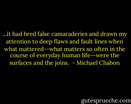...it had bred false camaraderies and drawn my attention to deep flaws and fault lines when what mattered--what matters so often in the course of everyday human life--were the surfaces and the joins.  - Michael Chabon