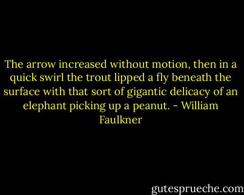 The arrow increased without motion, then in a quick swirl the trout lipped a fly beneath the surface with that sort of gigantic delicacy of an elephant picking up a peanut. - William Faulkner