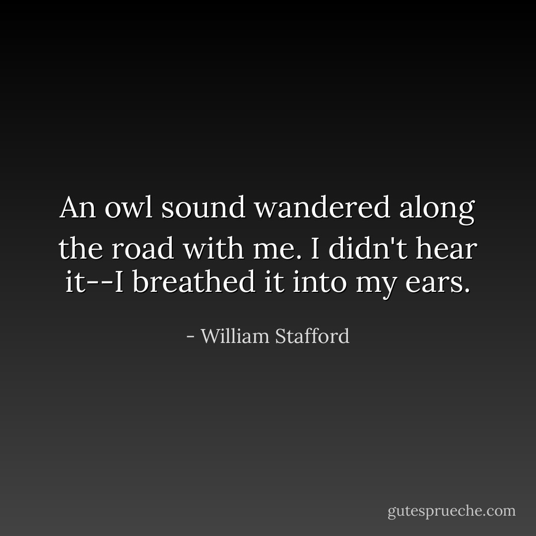 An owl sound wandered along the road with me.<br />I didn't hear it--I breathed it into my ears. - William Stafford