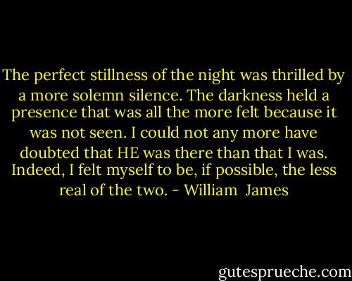 The perfect stillness of the night was thrilled by a more solemn silence. The darkness held a presence that was all the more felt because it was not seen. I could not any more have doubted that HE was there than that I was. Indeed, I felt myself to be, if possible, the less real of the two. - William  James