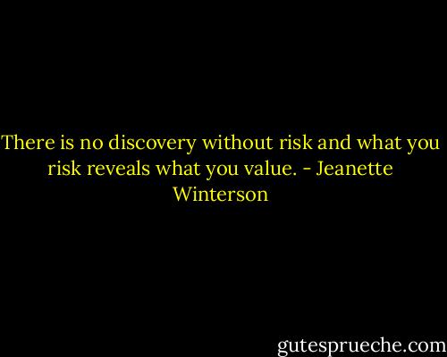 There is no discovery without risk and what you risk reveals what you value. - Jeanette Winterson