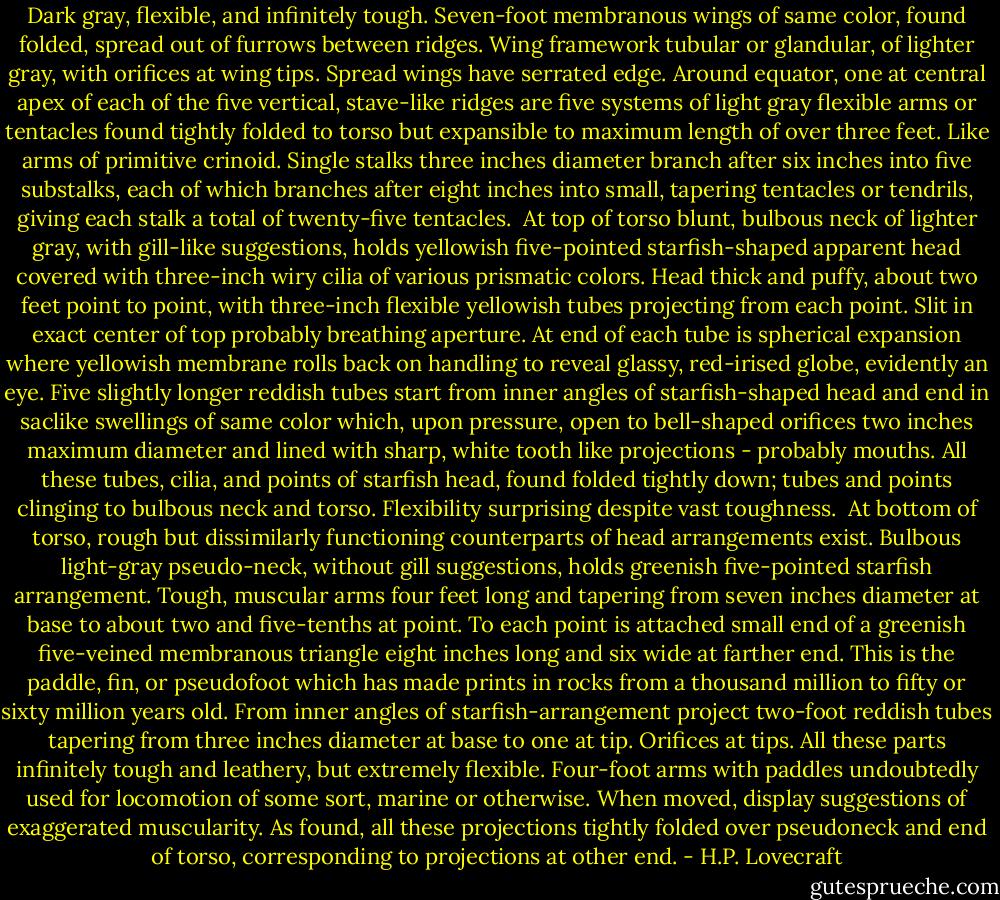 Dark gray, flexible, and infinitely tough. Seven-foot membranous wings of same color, found folded, spread out of furrows between ridges. Wing framework tubular or glandular, of lighter gray, with orifices at wing tips. Spread wings have serrated edge. Around equator, one at central apex of each of the five vertical, stave-like ridges are five systems of light gray flexible arms or tentacles found tightly folded to torso but expansible to maximum length of over three feet. Like arms of primitive crinoid. Single stalks three inches diameter branch after six inches into five substalks, each of which branches after eight inches into small, tapering tentacles or tendrils, giving each stalk a total of twenty-five tentacles.<br /><br />At top of torso blunt, bulbous neck of lighter gray, with gill-like suggestions, holds yellowish five-pointed starfish-shaped apparent head covered with three-inch wiry cilia of various prismatic colors. Head thick and puffy, about two feet point to point, with three-inch flexible yellowish tubes projecting from each point. Slit in exact center of top probably breathing aperture. At end of each tube is spherical expansion where yellowish membrane rolls back on handling to reveal glassy, red-irised globe, evidently an eye. Five slightly longer reddish tubes start from inner angles of starfish-shaped head and end in saclike swellings of same color which, upon pressure, open to bell-shaped orifices two inches maximum diameter and lined with sharp, white tooth like projections - probably mouths. All these tubes, cilia, and points of starfish head, found folded tightly down; tubes and points clinging to bulbous neck and torso. Flexibility surprising despite vast toughness.<br /><br />At bottom of torso, rough but dissimilarly functioning counterparts of head arrangements exist. Bulbous light-gray pseudo-neck, without gill suggestions, holds greenish five-pointed starfish arrangement. Tough, muscular arms four feet long and tapering from seven inches diameter at base to about two and five-tenths at point. To each point is attached small end of a greenish five-veined membranous triangle eight inches long and six wide at farther end. This is the paddle, fin, or pseudofoot which has made prints in rocks from a thousand million to fifty or sixty million years old. From inner angles of starfish-arrangement project two-foot reddish tubes tapering from three inches diameter at base to one at tip. Orifices at tips. All these parts infinitely tough and leathery, but extremely flexible. Four-foot arms with paddles undoubtedly used for locomotion of some sort, marine or otherwise. When moved, display suggestions of exaggerated muscularity. As found, all these projections tightly folded over pseudoneck and end of torso, corresponding to projections at other end. - H.P. Lovecraft
