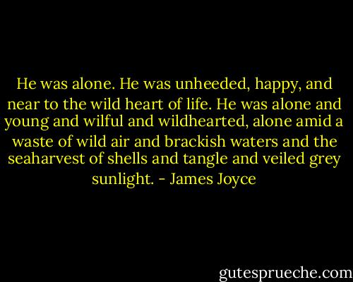 He was alone. He was unheeded, happy, and near to the wild heart of life. He was alone and young and wilful and wildhearted, alone amid a waste of wild air and brackish waters and the seaharvest of shells and tangle and veiled grey sunlight. - James Joyce