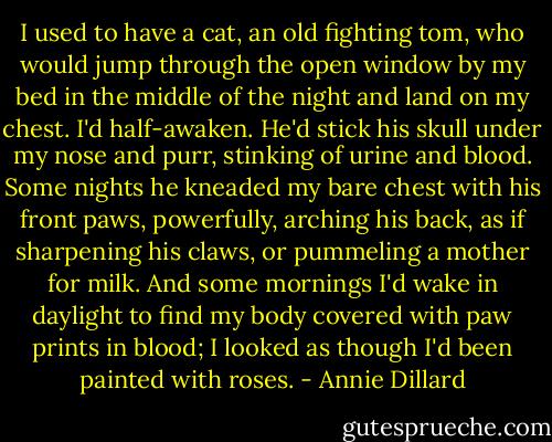I used to have a cat, an old fighting tom, who would jump through the open window by my bed in the middle of the night and land on my chest. I'd half-awaken. He'd stick his skull under my nose and purr, stinking of urine and blood. Some nights he kneaded my bare chest with his front paws, powerfully, arching his back, as if sharpening his claws, or pummeling a mother for milk. And some mornings I'd wake in daylight to find my body covered with paw prints in blood; I looked as though I'd been painted with roses. - Annie Dillard