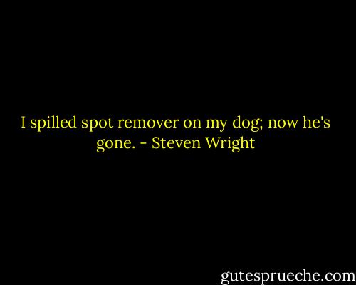I spilled spot remover on my dog; now he's gone. - Steven Wright
