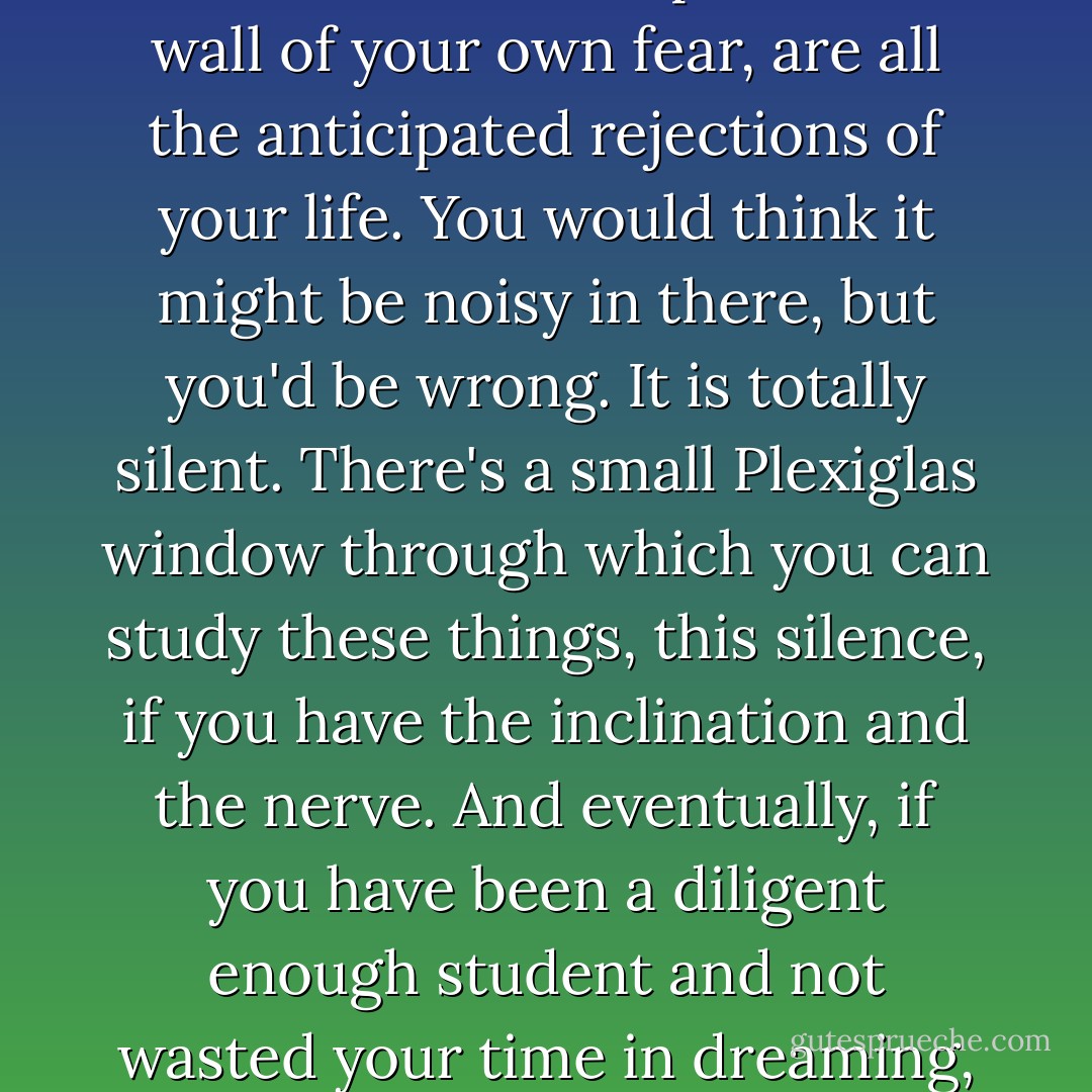 Inaction is not the same thing as patience. It is instead a kind of perpetual waiting room, a sterile holding pen for unlived desire, a negative sanctuary. You wait and wait, but the receptionist is very stern and, somehow, the appointment book always full. To make matters worse, crowded into the adjoining cell like so many desperate immigrants, and separated from you by nothing more than the thin permeable wall of your own fear, are all the anticipated rejections of your life. You would think it might be noisy in there, but you'd be wrong. It is totally silent. There's a small Plexiglas window through which you can study these things, this silence, if you have the inclination and the nerve. And eventually, if you have been a diligent enough student and not wasted your time in dreaming, you come to understand that it is not the rejections that make this a prison, not the defeats, but rather your own grim expectation of defeat; not life but its bodily outline drawn in chalk, where the body should be but isn't, where it once was, this ingrained cowardly pessimism, this relentless betting against love and instinct. This is where the silence comes from. - John Burnham Schwartz