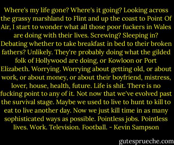 Where's my life gone? Where's it going? Looking across the grassy marshland to Flint and up the coast to Point Of Air, I start to wonder what all those poor fuckers in Wales are doing with their lives. Screwing? Sleeping in? Debating whether to take breakfast in bed to their broken fathers? Unlikely. They're probably doing what the gilded folk of Hollywood are doing, or Kowloon or Port Elizabeth. Worrying. Worrying about getting old, or about work, or about money, or about their boyfriend, mistress, lover, house, health, future. Life is shit. There is no fucking point to any of it. Not now that we've evolved past the survival stage. Maybe we used to live to hunt to kill to eat to live another day. Now we just kill time in as many sophisticated ways as possible. Pointless jobs. Pointless lives. Work. Television. Football. - Kevin Sampson