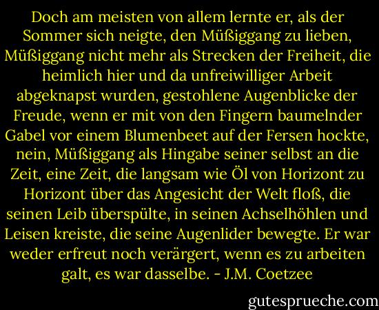 Doch am meisten von allem lernte er, als der Sommer sich neigte, den Müßiggang zu lieben, Müßiggang nicht mehr als Strecken der Freiheit, die heimlich hier und da unfreiwilliger Arbeit abgeknapst wurden, gestohlene Augenblicke der Freude, wenn er mit von den Fingern baumelnder Gabel vor einem Blumenbeet auf der Fersen hockte, nein, Müßiggang als Hingabe seiner selbst an die Zeit, eine Zeit, die langsam wie Öl von Horizont zu Horizont über das Angesicht der Welt floß, die seinen Leib überspülte, in seinen Achselhöhlen und Leisen kreiste, die seine Augenlider bewegte. Er war weder erfreut noch verärgert, wenn es zu arbeiten galt, es war dasselbe. - J.M. Coetzee