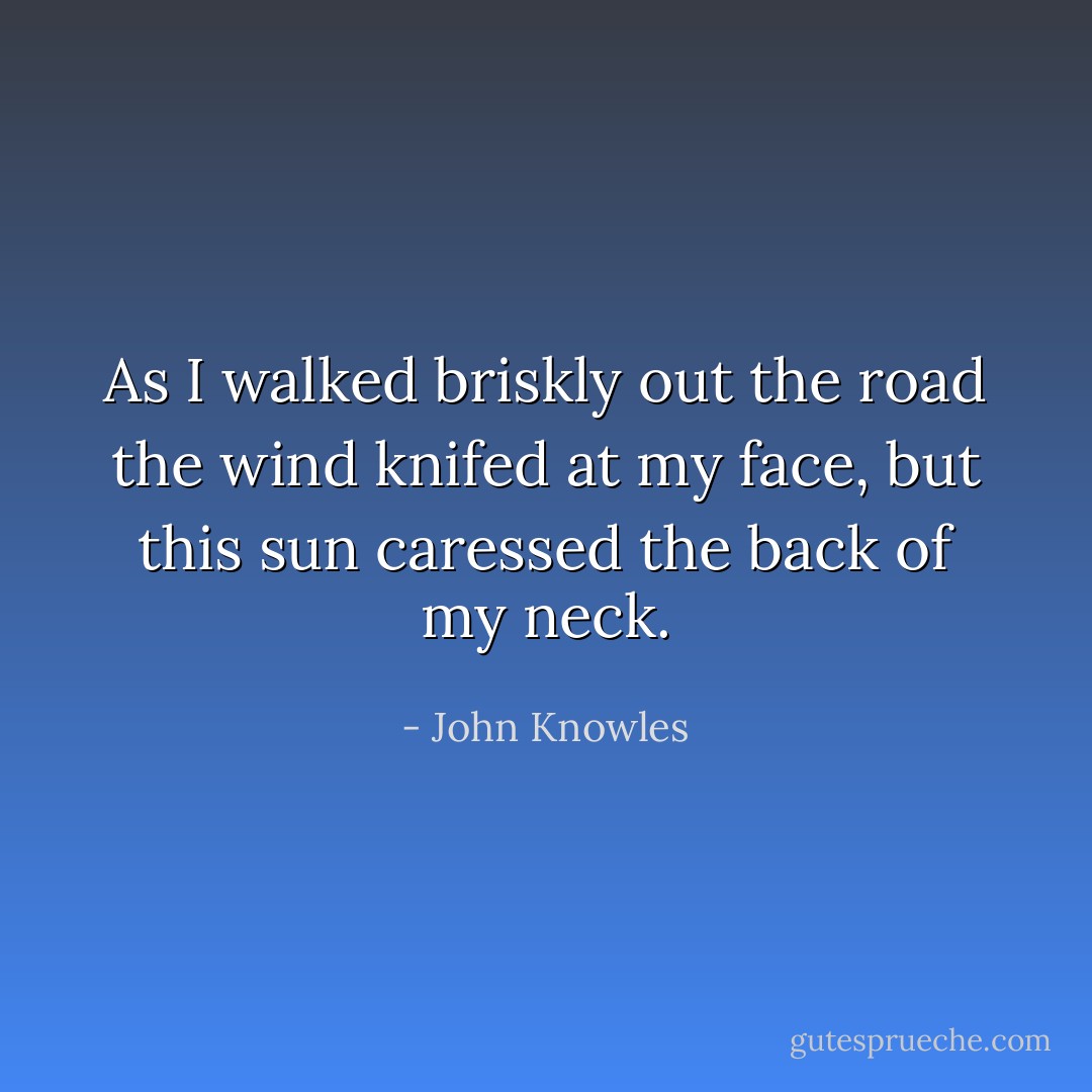 As I walked briskly out the road the wind knifed at my face, but this sun caressed the back of my neck. - John Knowles