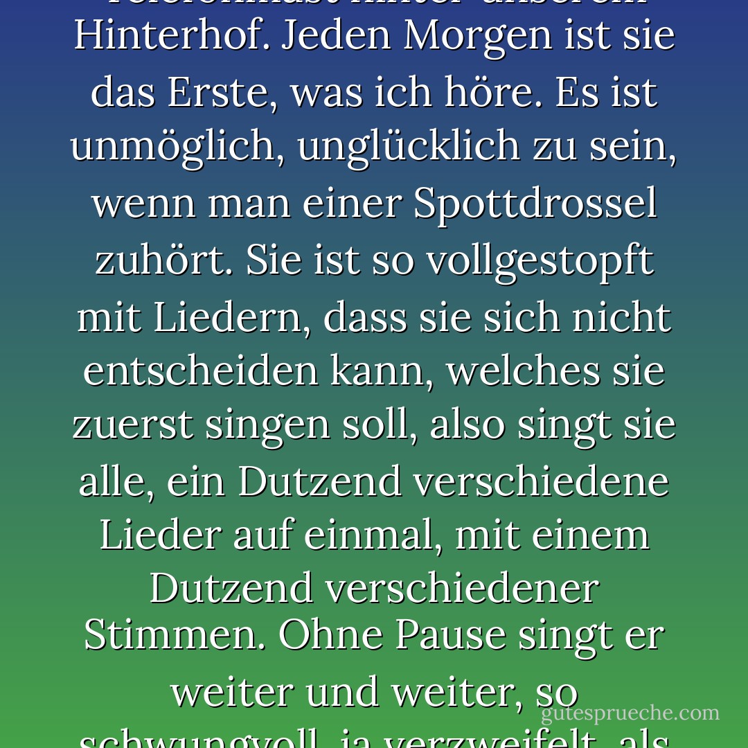 In unserer Nachbarschaft ist eine Spottdrossel eingezogen. Sie hockt auf einem Telefonmast hinter unserem Hinterhof. Jeden Morgen ist sie das Erste, was ich höre. Es ist unmöglich, unglücklich zu sein, wenn man einer Spottdrossel zuhört. Sie ist so vollgestopft mit Liedern, dass sie sich nicht entscheiden kann, welches sie zuerst singen soll, also singt sie alle, ein Dutzend verschiedene Lieder auf einmal, mit einem Dutzend verschiedener Stimmen. Ohne Pause singt er weiter und weiter, so schwungvoll, ja verzweifelt, als ob seine Stimme allein die Welt wach halten würde. - Jerry Spinelli<