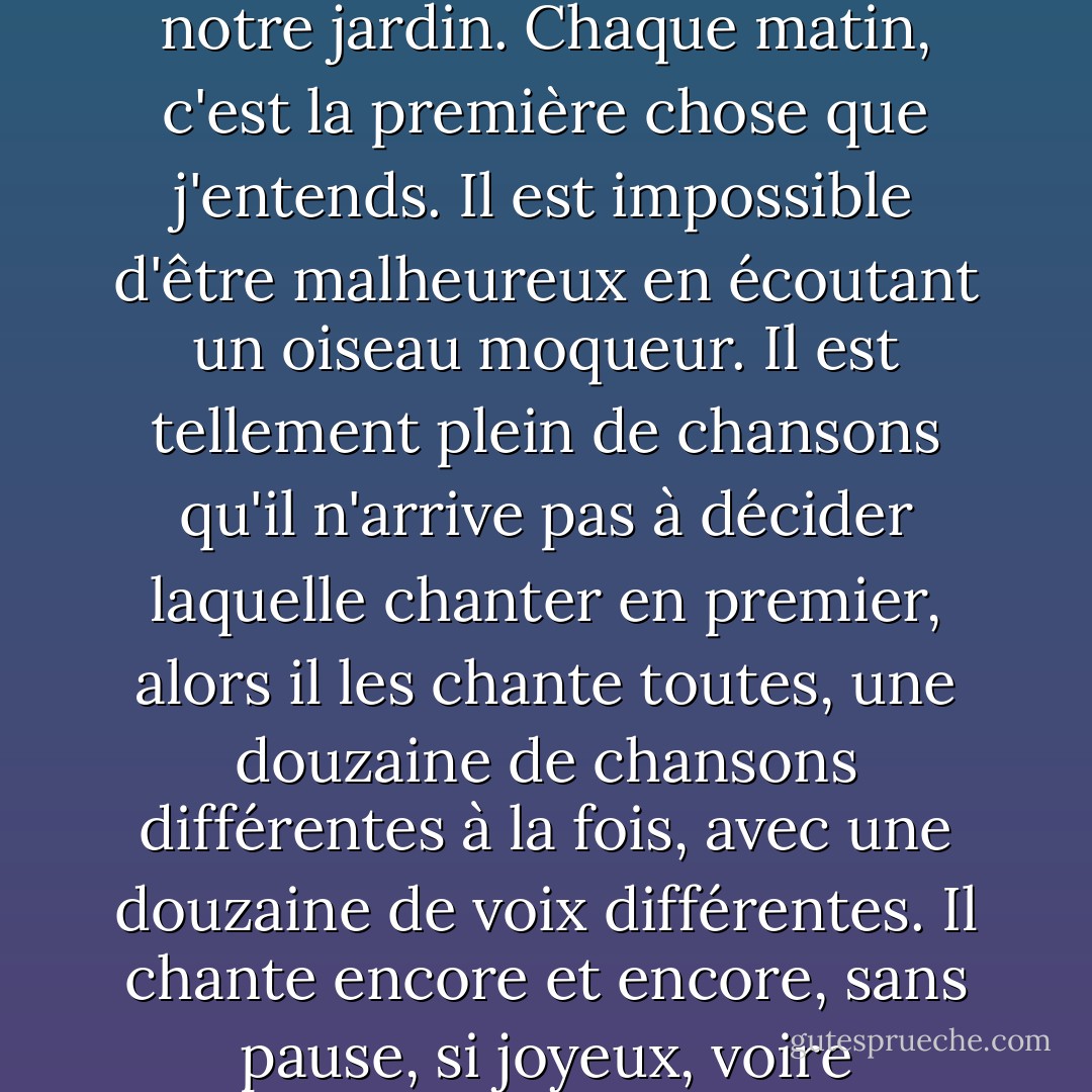 Un oiseau moqueur s'est installé dans notre quartier. Il est perché au sommet d'un poteau téléphonique derrière notre jardin. Chaque matin, c'est la première chose que j'entends. Il est impossible d'être malheureux en écoutant un oiseau moqueur. Il est tellement plein de chansons qu'il n'arrive pas à décider laquelle chanter en premier, alors il les chante toutes, une douzaine de chansons différentes à la fois, avec une douzaine de voix différentes. Il chante encore et encore, sans pause, si joyeux, voire frénétique, comme si sa voix à elle seule empêchait le monde de s'endormir. - Jerry Spinelli