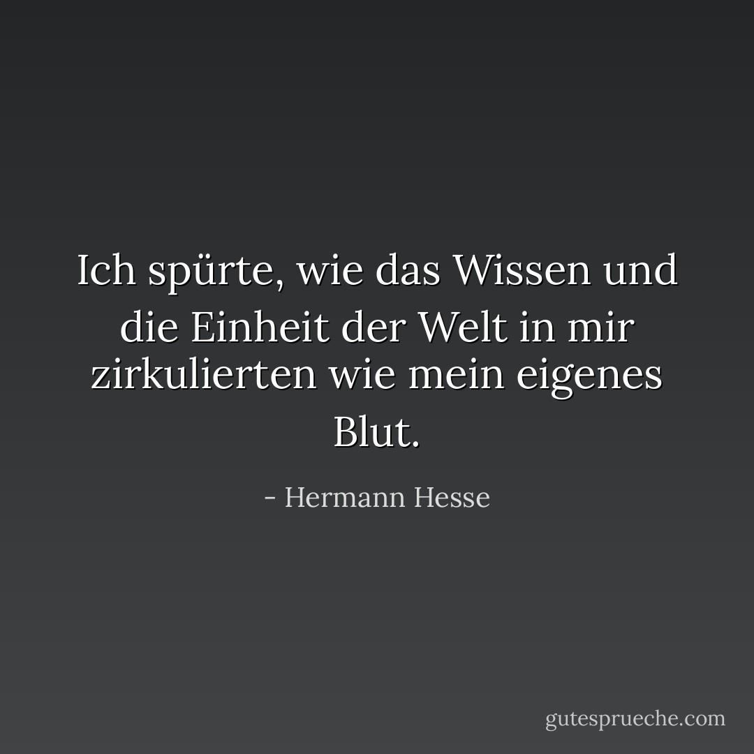Ich spürte, wie das Wissen und die Einheit der Welt in mir zirkulierten wie mein eigenes Blut. - Hermann Hesse<