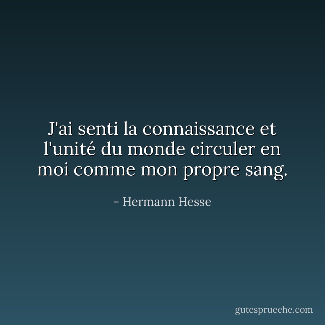 J'ai senti la connaissance et l'unité du monde circuler en moi comme mon propre sang. - Hermann Hesse